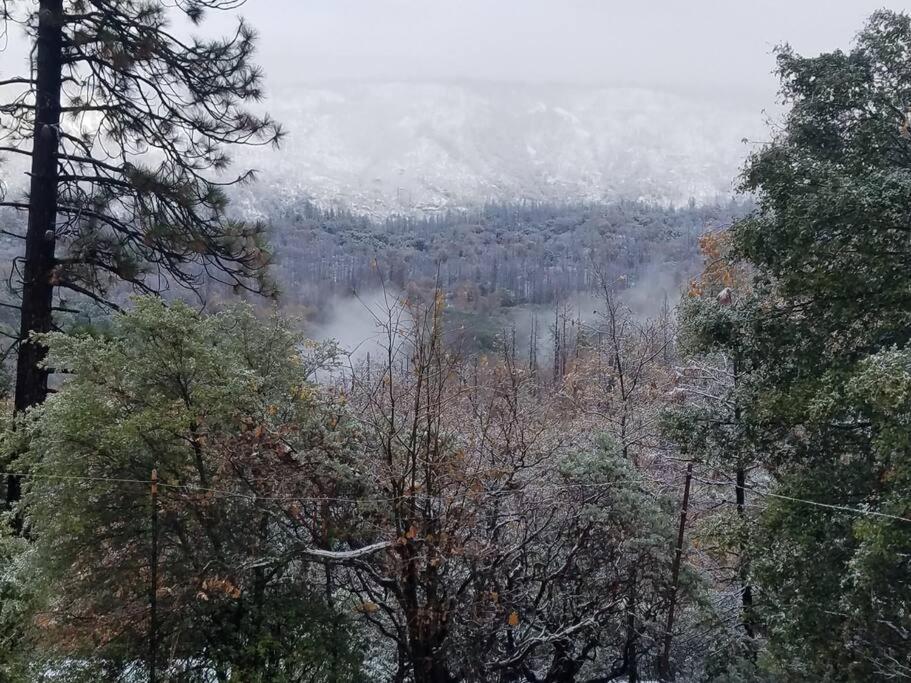 Uncle Grizz'S Cabin...Get Intouch With Nature Bass Lake Annex Εξωτερικό φωτογραφία